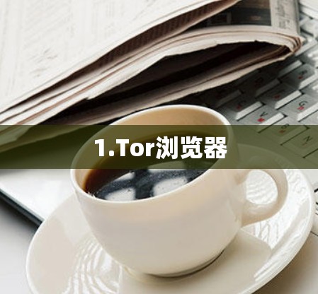 1.Tor浏览器