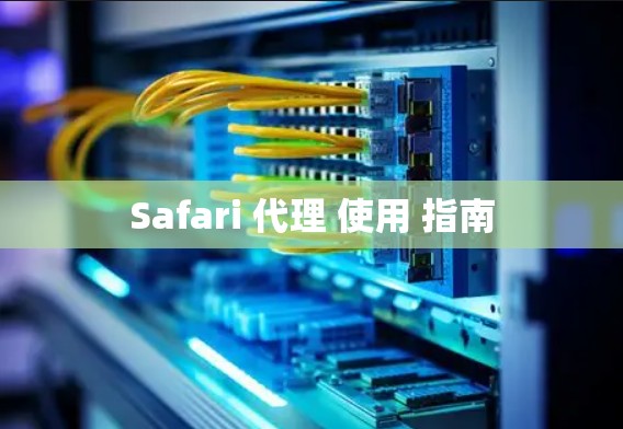 Safari 代理 使用 指南