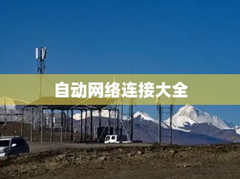 自动网络连接大全