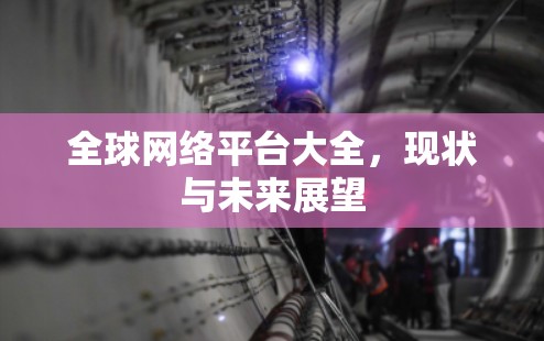 全球网络平台大全，现状与未来展望