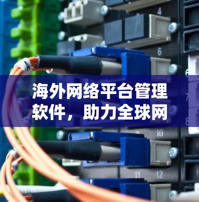 海外网络平台管理软件，助力全球网络优化与安全