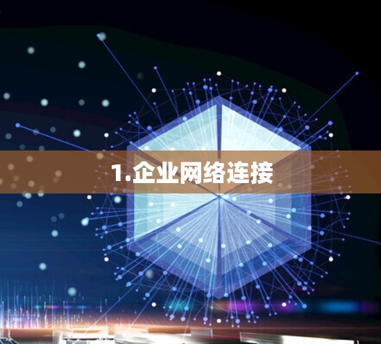 1.企业网络连接