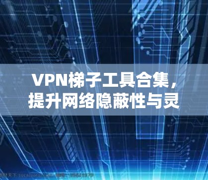 VPN梯子工具合集，提升网络隐蔽性与灵活性