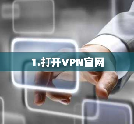 1.打开VPN官网