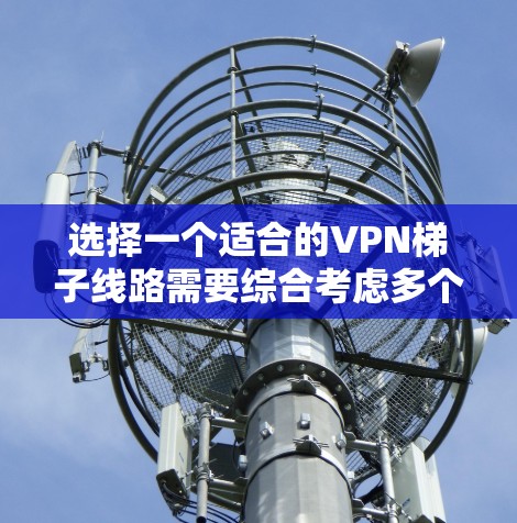 选择一个适合的VPN梯子线路需要综合考虑多个因素，以下是根据您的需求整理出的建议和步骤