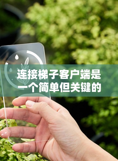 连接梯子客户端是一个简单但关键的步骤，确保你能顺利访问梯子网络。以下是详细的分步说明