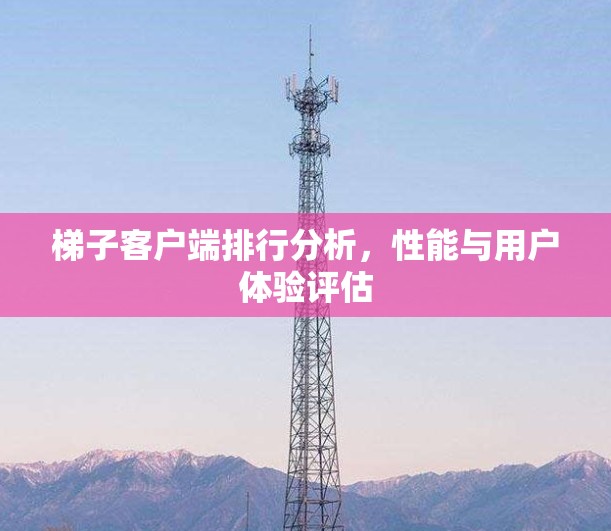 梯子客户端排行分析，性能与用户体验评估
