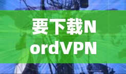 要下载NordVPN的安卓版，请按照以下步骤操作