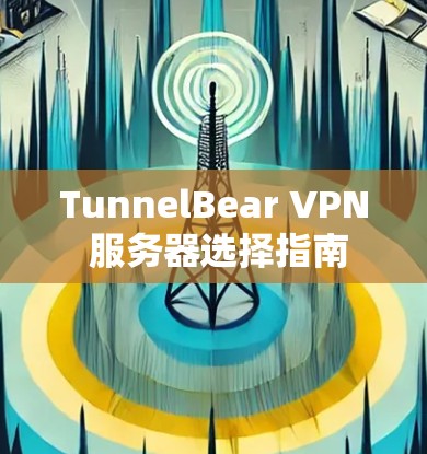 TunnelBear VPN 服务器选择指南