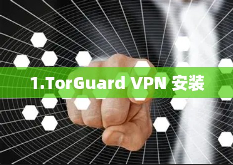 1.TorGuard VPN 安装
