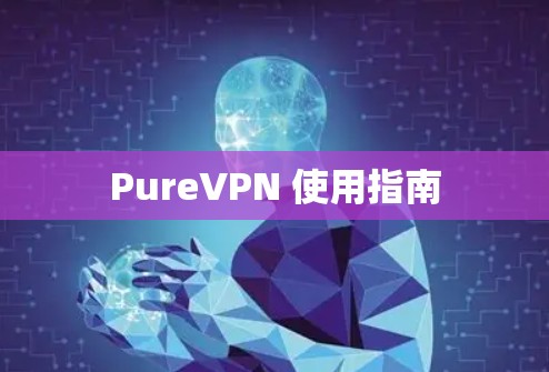 PureVPN 使用指南