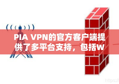 PIA VPN的官方客户端提供了多平台支持，包括Windows、Mac、Linux、Android和iOS，确保用户可以在各自的设备上轻松安装和使用。以下是详细的功能分析