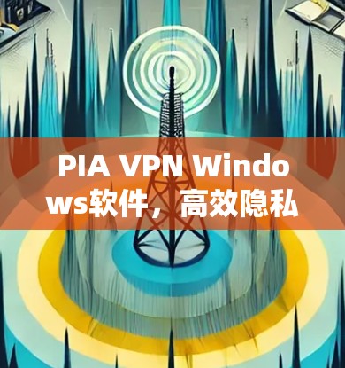 PIA VPN Windows软件，高效隐私保护方案