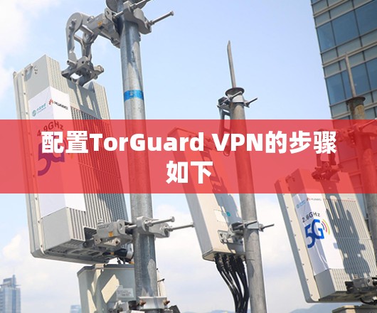 配置TorGuard VPN的步骤如下