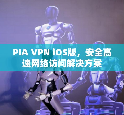 PIA VPN iOS版，安全高速网络访问解决方案
