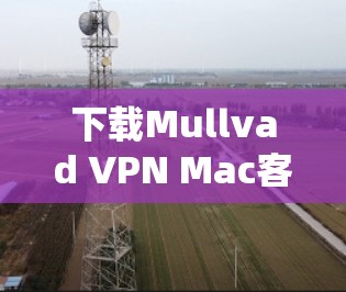 下载Mullvad VPN Mac客户端的步骤如下