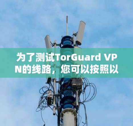 为了测试TorGuard VPN的线路，您可以按照以下步骤进行