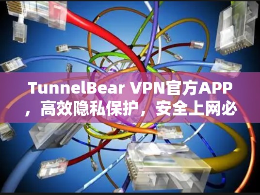 TunnelBear VPN官方APP，高效隐私保护，安全上网必备