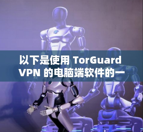 以下是使用 TorGuard VPN 的电脑端软件的一些基本步骤和常见问题
