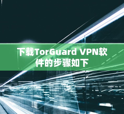下载TorGuard VPN软件的步骤如下