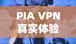 PIA VPN真实体验测评