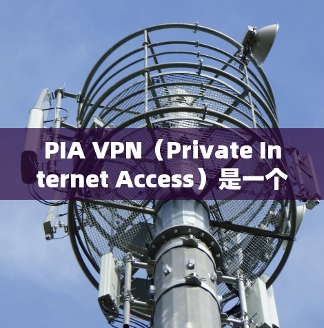 PIA VPN（Private Internet Access）是一个受欢迎的VPN服务提供商，旨在帮助用户保护隐私和安全。以下是对PIA VPN的一些真实评价和分析