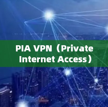 PIA VPN（Private Internet Access）的专业VPN客户端是一个强大的工具，旨在为用户提供高安全性和隐私保护。以下是该客户端的详细介绍