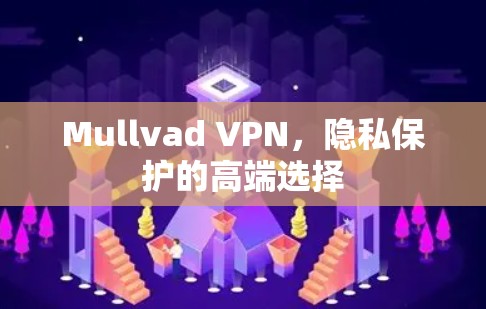 Mullvad VPN，隐私保护的高端选择