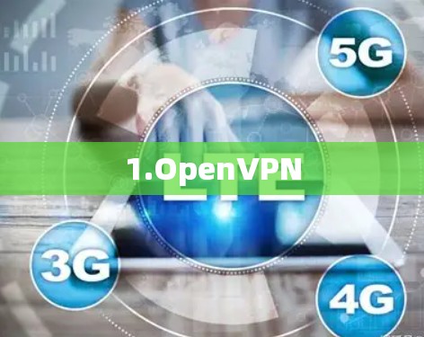 1.OpenVPN