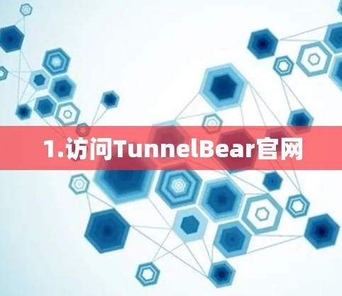 1.访问TunnelBear官网