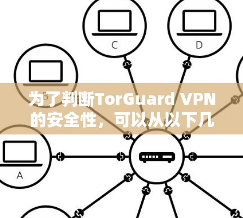 为了判断TorGuard VPN的安全性，可以从以下几个关键方面进行分析