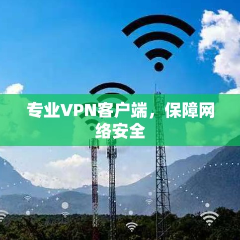 专业VPN客户端，保障网络安全
