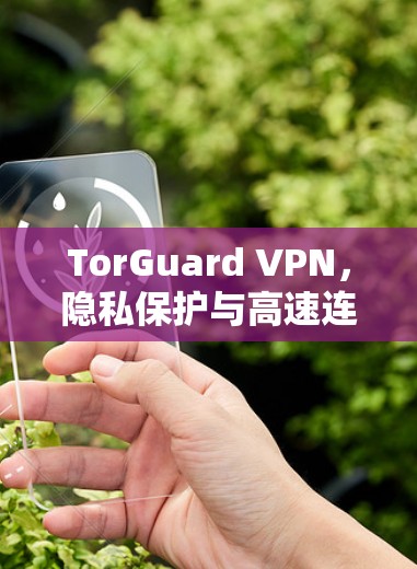 TorGuard VPN，隐私保护与高速连接的完美融合