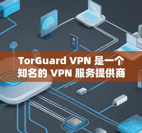 TorGuard VPN 是一个知名的 VPN 服务提供商，用户可以通过其官方网站或相关应用商店下载。以下是获取热门版本的步骤