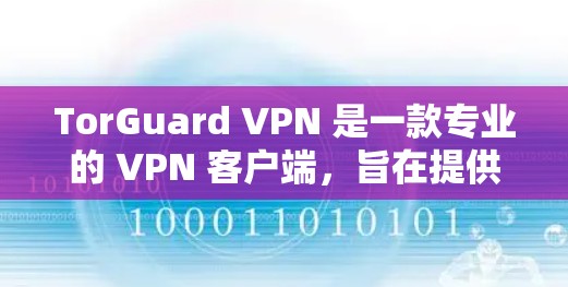 TorGuard VPN 是一款专业的 VPN 客户端，旨在提供高安全性、隐私保护和稳定的网络连接。它适用于各种用户，包括个人和企业，能够帮助用户保护隐私、避免网络监控以及访问受限制的内容