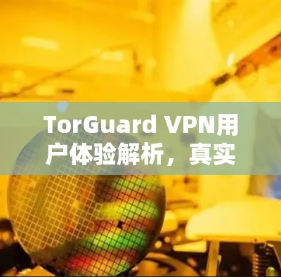 TorGuard VPN用户体验解析，真实评价与优缺点分析