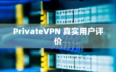 PrivateVPN 真实用户评价