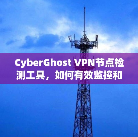 CyberGhost VPN节点检测工具，如何有效监控和管理VPN服务器节点