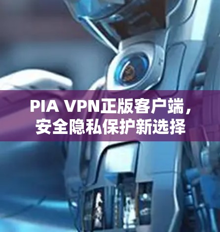 PIA VPN正版客户端，安全隐私保护新选择