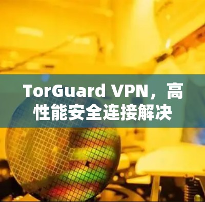 TorGuard VPN，高性能安全连接解决方案