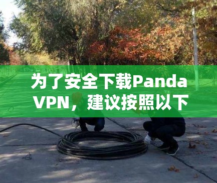 为了安全下载Panda VPN，建议按照以下步骤操作