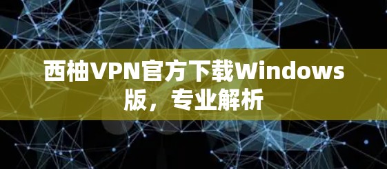 西柚VPN官方下载Windows版，专业解析