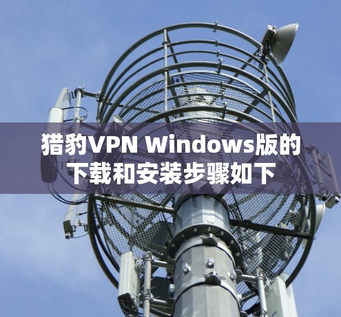 猎豹VPN Windows版的下载和安装步骤如下