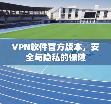 VPN软件官方版本，安全与隐私的保障
