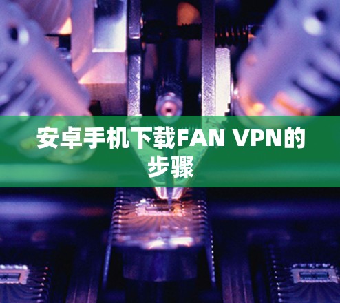 安卓手机下载FAN VPN的步骤