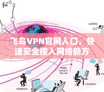 飞鸟VPN官网入口，快速安全接入网络新方式