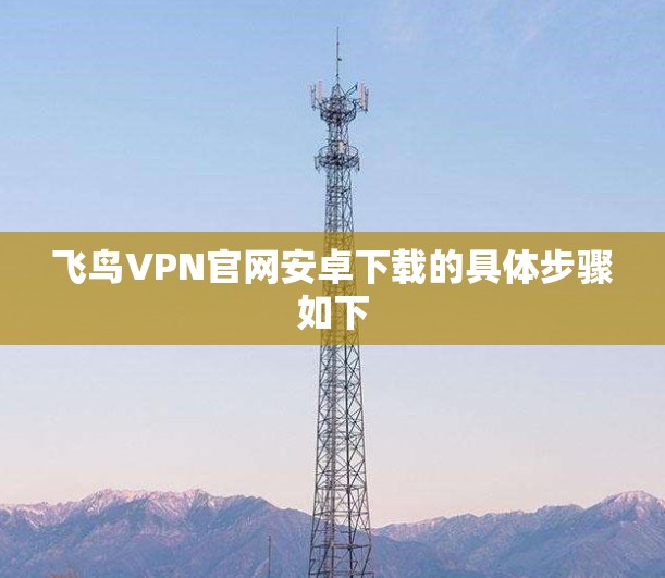 飞鸟VPN官网安卓下载的具体步骤如下