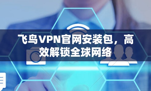 飞鸟VPN官网安装包，高效解锁全球网络